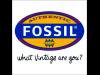 fossil_25_-_25